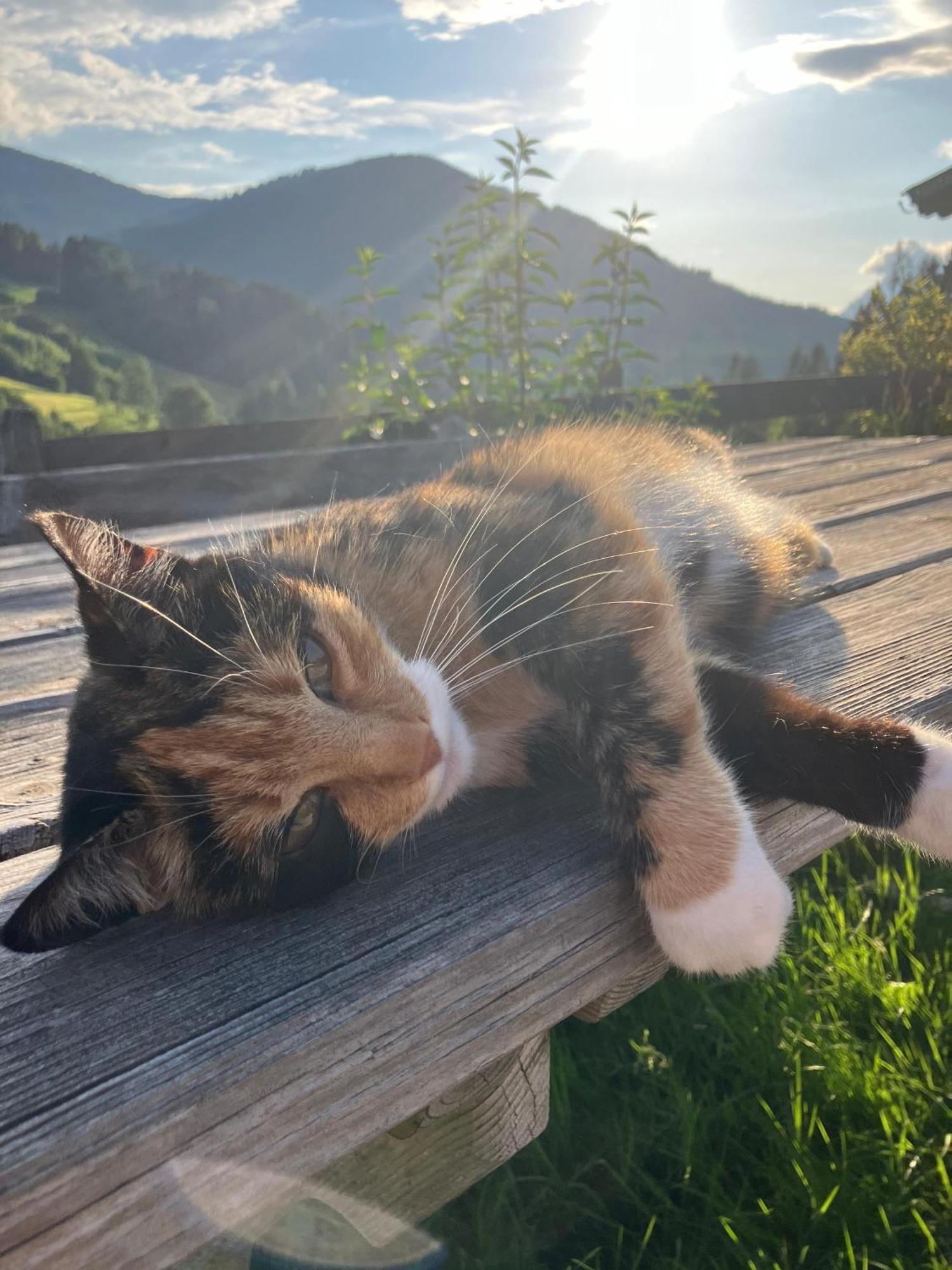 Viehhofbauer Villa Maria Alm am Steinernen Meer Luaran gambar