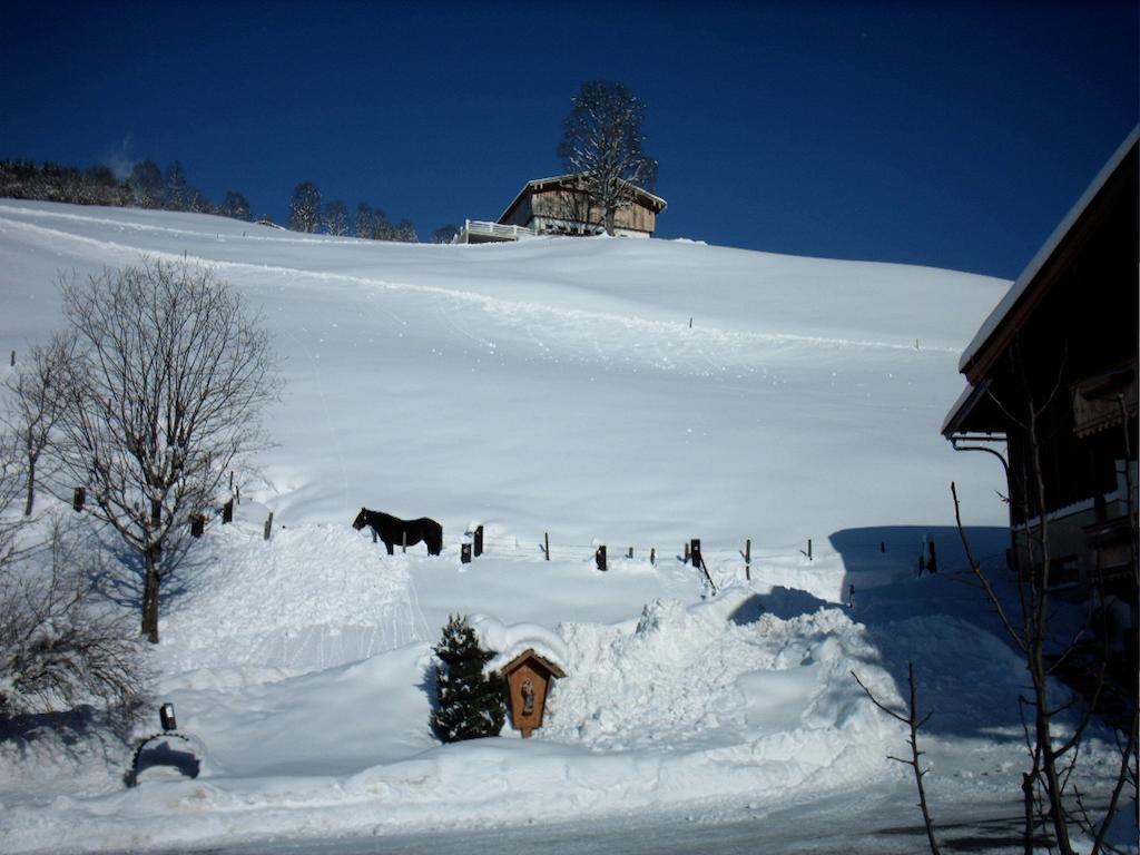 Viehhofbauer Villa Maria Alm am Steinernen Meer Luaran gambar